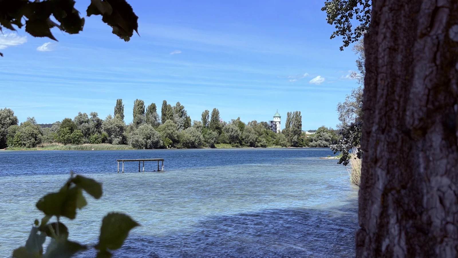 Freier Blick vom Kuhhorn über den Seerhein