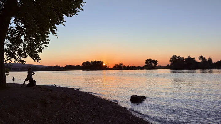 Klares Wasser am Ufer des Seerheins