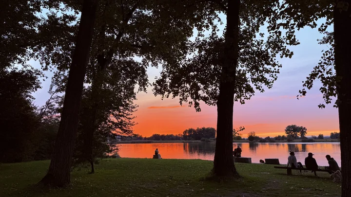 Sonnenuntergang zwischen Bäumen am Seerhein