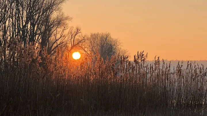 Impression aus der Seerhein-Schenke Kuhhorn, Foto 74 von 175