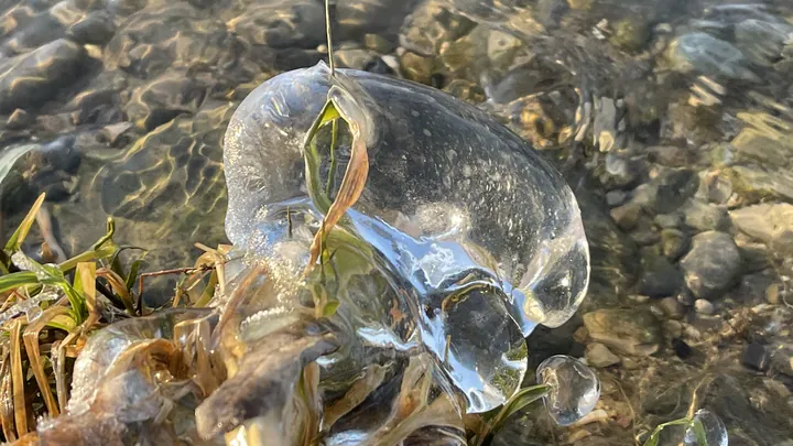 Impression aus der Seerhein-Schenke Kuhhorn, Foto 101 von 175