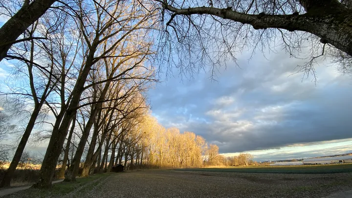 Impression aus der Seerhein-Schenke Kuhhorn, Foto 152 von 175